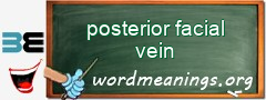 WordMeaning blackboard for posterior facial vein